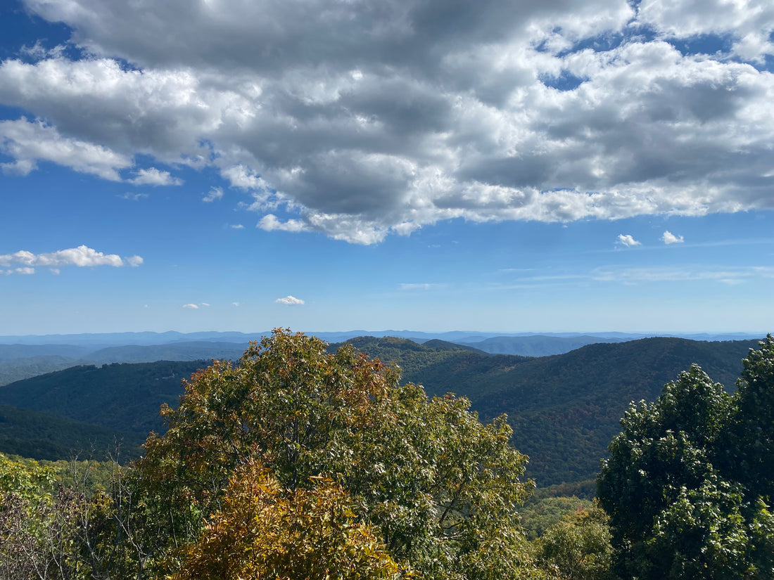 “…and all at once, summer collapsed into fall.” Oscar Wilde