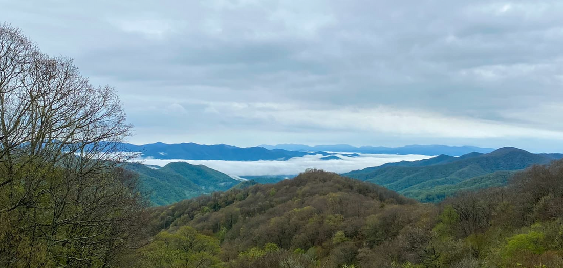 Spring in the Smokies