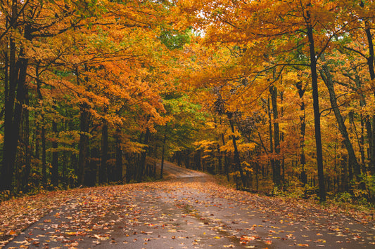 Welcome Fall!
