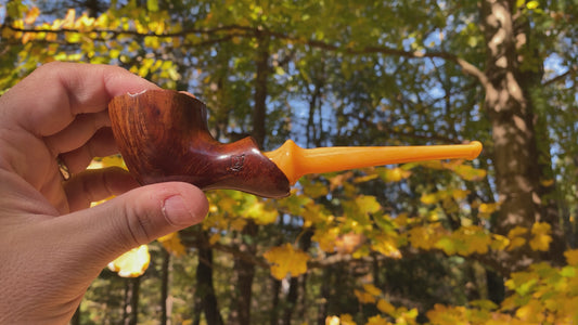 Washington Irving | Briar Tobacco Pipe